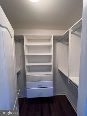 Interior, Walk-in Closets, Wood Texture Flooring