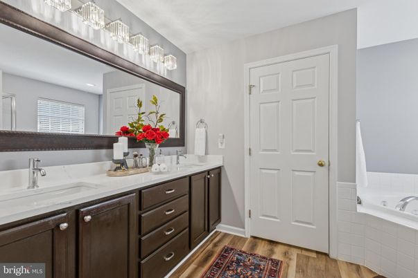 Bathroom, Dual Sink Vanities, Interior, Wood Texture Flooring