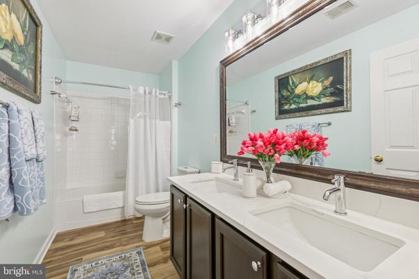 Bathroom, Dual Sink Vanities, Interior, Wood Texture Flooring