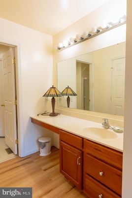 Bathroom, Dual Sink Vanities, Interior, Wood Texture Flooring