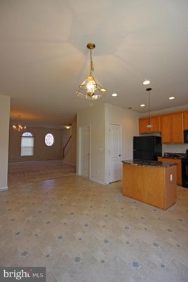 Interior, Kitchen, Pendant Lights, Recessed Lighting