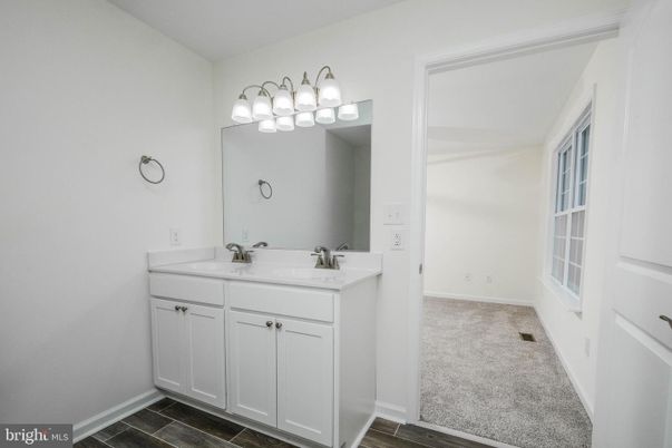 Bathroom, Dual Sink Vanities, Interior, Wood Texture Flooring