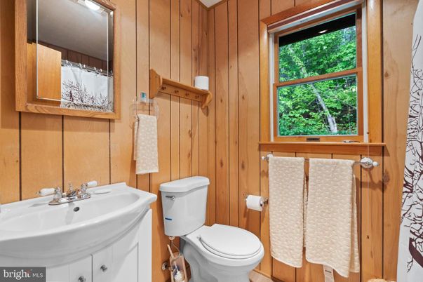 Bathroom, Interior, Wooden Walls