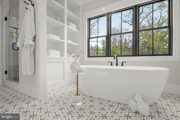 Bathroom, Free Standing Baths, Interior
