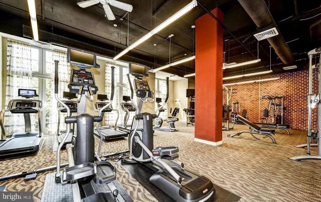 Fitness Equipment, Gym, Interior, Stone Walls
