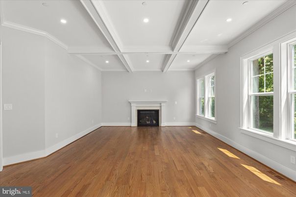 Empty room, Fireplace, Interior, Recessed Lighting, Wood Texture Flooring