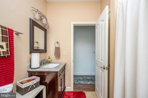 Bathroom, Interior, Wood Texture Flooring