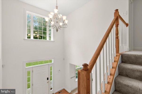 Chandelier, Interior, Wood Texture Flooring