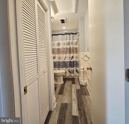 Bathroom, Interior, Recessed Lighting, Wood Texture Flooring