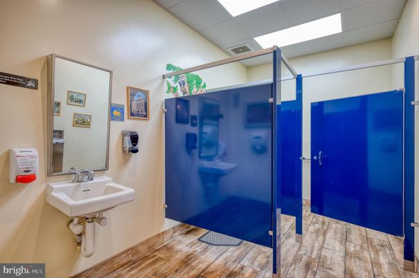 Bathroom, Interior, Recessed Lighting, Wood Texture Flooring