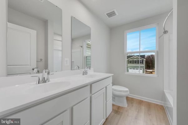 Bathroom, Dual Sink Vanities, Interior, Wood Texture Flooring