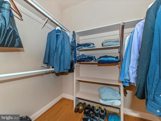 Interior, Walk-in Closets, Wood Texture Flooring