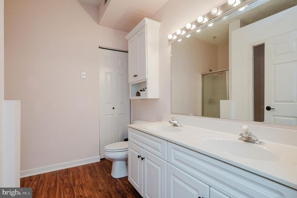 Bathroom, Dual Sink Vanities, Interior, Wood Texture Flooring