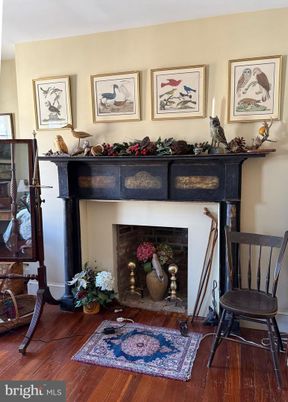 Fireplace, Interior, Wood Texture Flooring