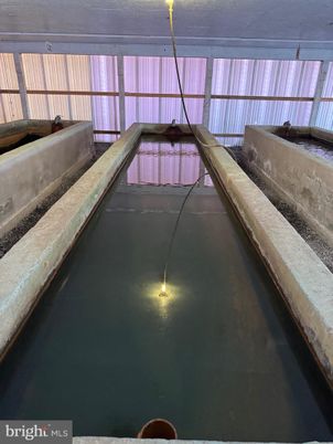 Interior, Pool