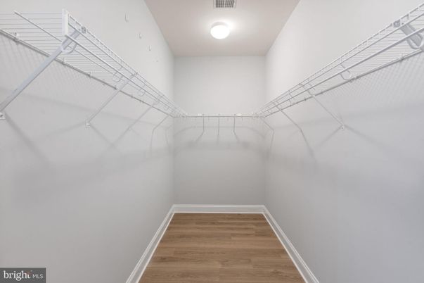 Interior, Walk-in Closets, Wood Texture Flooring