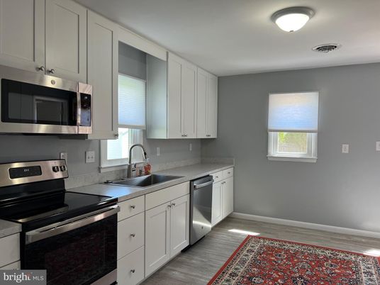 Interior, Kitchen, Stainless Steel Appliances, Wood Texture Flooring