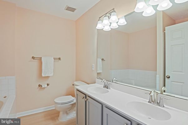 Bathroom, Dual Sink Vanities, Interior, Wood Texture Flooring