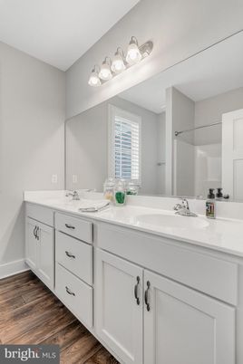 Bathroom, Dual Sink Vanities, Interior, Wood Texture Flooring