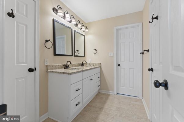 Bathroom, Dual Sink Vanities, Interior, Wood Texture Flooring