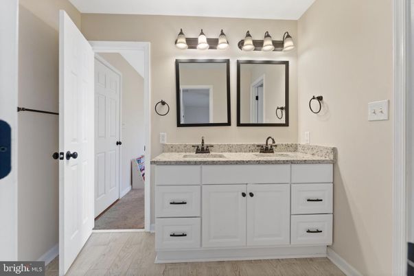 Bathroom, Dual Sink Vanities, Interior, Wood Texture Flooring
