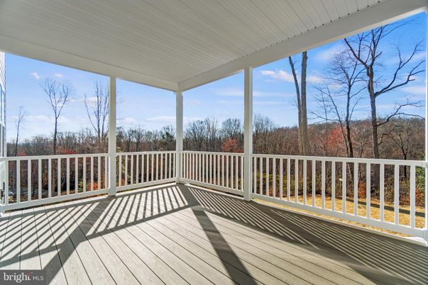 Exterior, Wood Texture Flooring