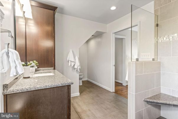 Bathroom, Interior, Recessed Lighting, Wood Texture Flooring