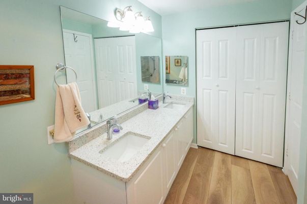 Bathroom, Dual Sink Vanities, Interior, Wood Texture Flooring