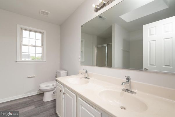 Bathroom, Dual Sink Vanities, Interior, Wood Texture Flooring