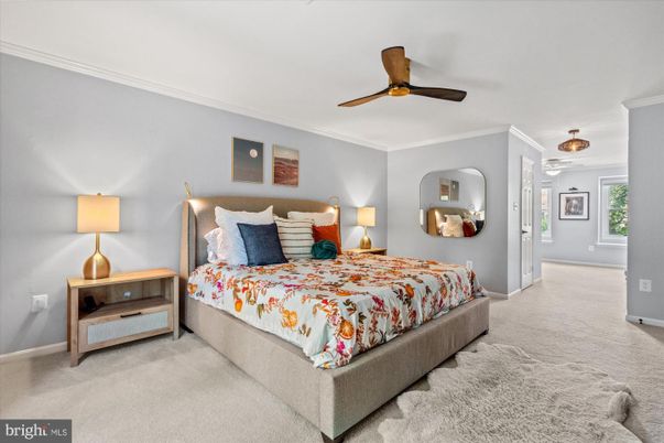 Bedroom, Interior