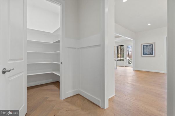 Interior, Recessed Lighting, Walk-in Closets, Wood Texture Flooring