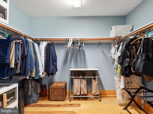 Interior, Walk-in Closets, Wood Texture Flooring