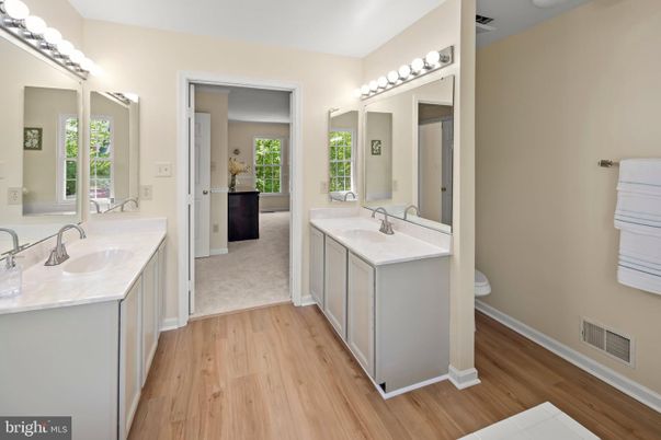 Bathroom, Dual Sink Vanities, Interior, Wood Texture Flooring