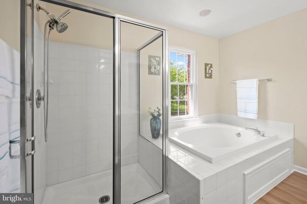 Bathroom, Glass Shower, Interior, Wood Texture Flooring