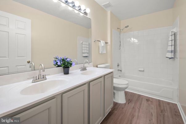 Bathroom, Dual Sink Vanities, Interior, Wood Texture Flooring