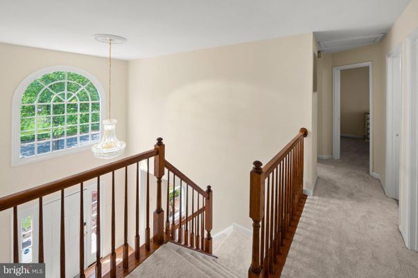 Interior, Pendant Lights
