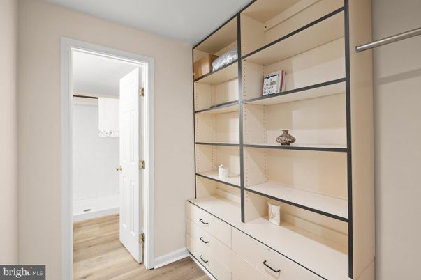 Interior, Walk-in Closets, Wood Texture Flooring