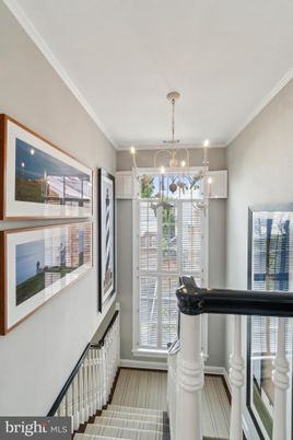 Interior, Pendant Lights
