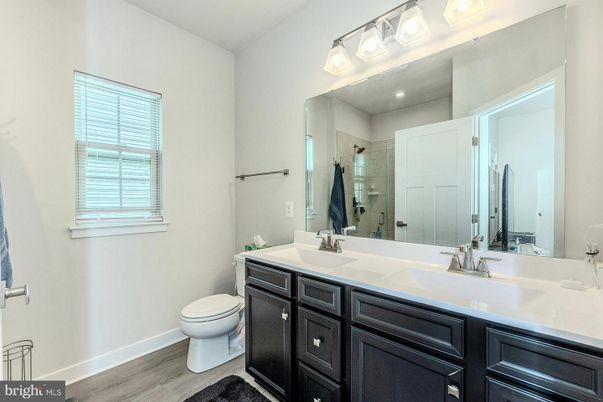 Bathroom, Dual Sink Vanities, Interior, Wood Texture Flooring