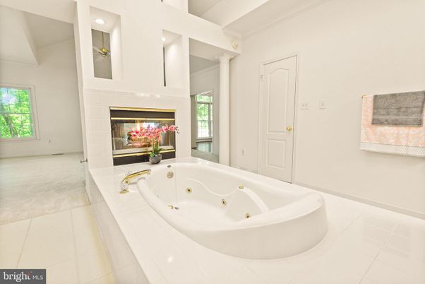 Bathroom, Fireplace, Interior