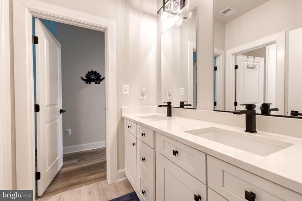 Bathroom, Dual Sink Vanities, Interior, Wood Texture Flooring