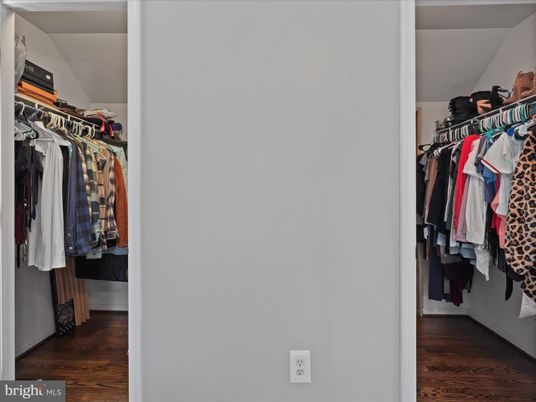 Interior, Walk-in Closets, Wood Texture Flooring