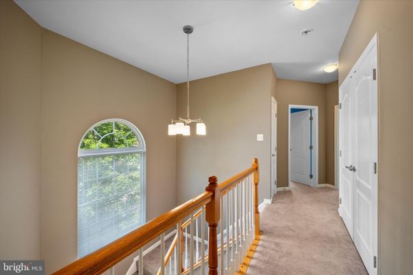 Interior, Pendant Lights