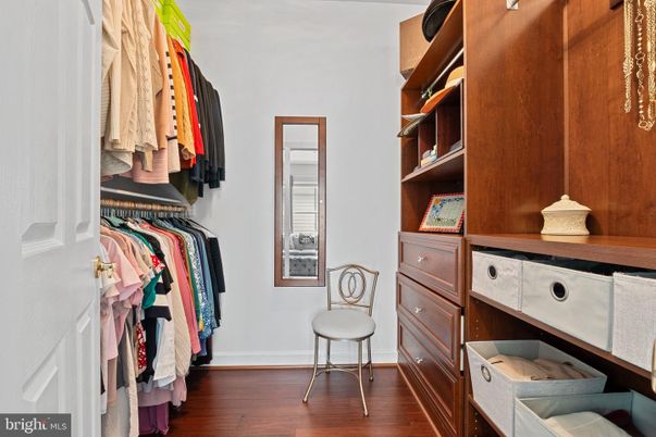 Interior, Walk-in Closets, Wood Texture Flooring