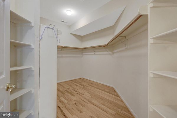 Interior, Walk-in Closets, Wood Texture Flooring