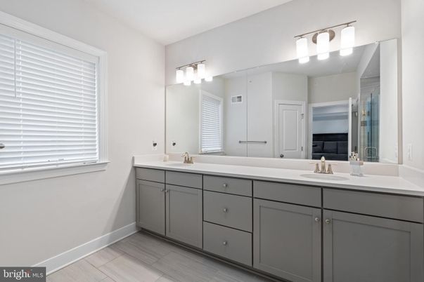 Bathroom, Dual Sink Vanities, Interior, Wood Texture Flooring