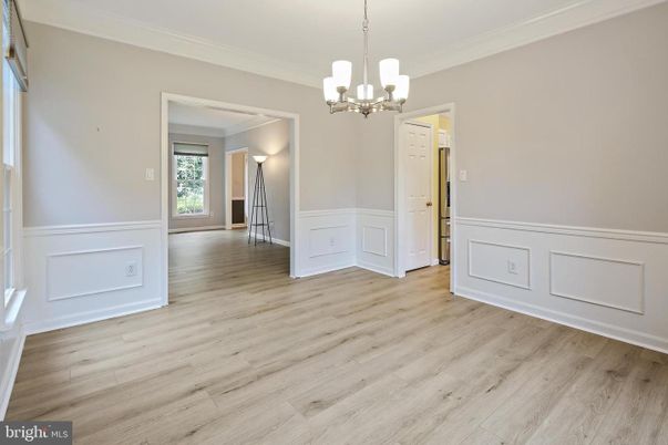 Empty room, Interior, Pendant Lights, Wood Texture Flooring