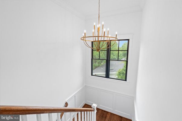 Interior, Pendant Lights