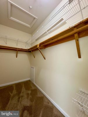 Empty room, Interior, Walk-in Closets