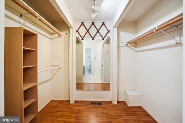 Interior, Walk-in Closets, Wood Texture Flooring
